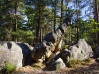 2016-10-09 Les gorges d Apremont 0077